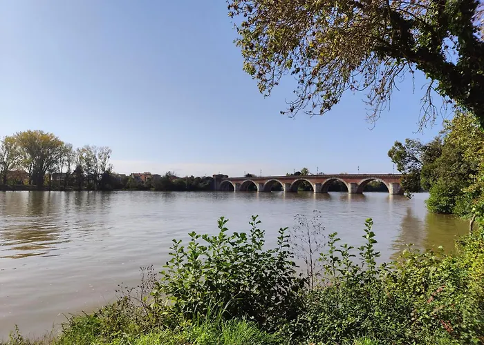 Coeur D'emeraude Διαμέρισμα Moissac